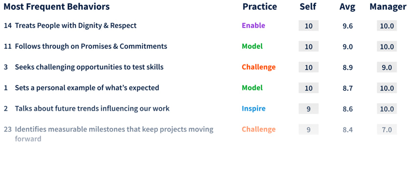 Sample Leadership Behaviors Ranking with self and observers score.